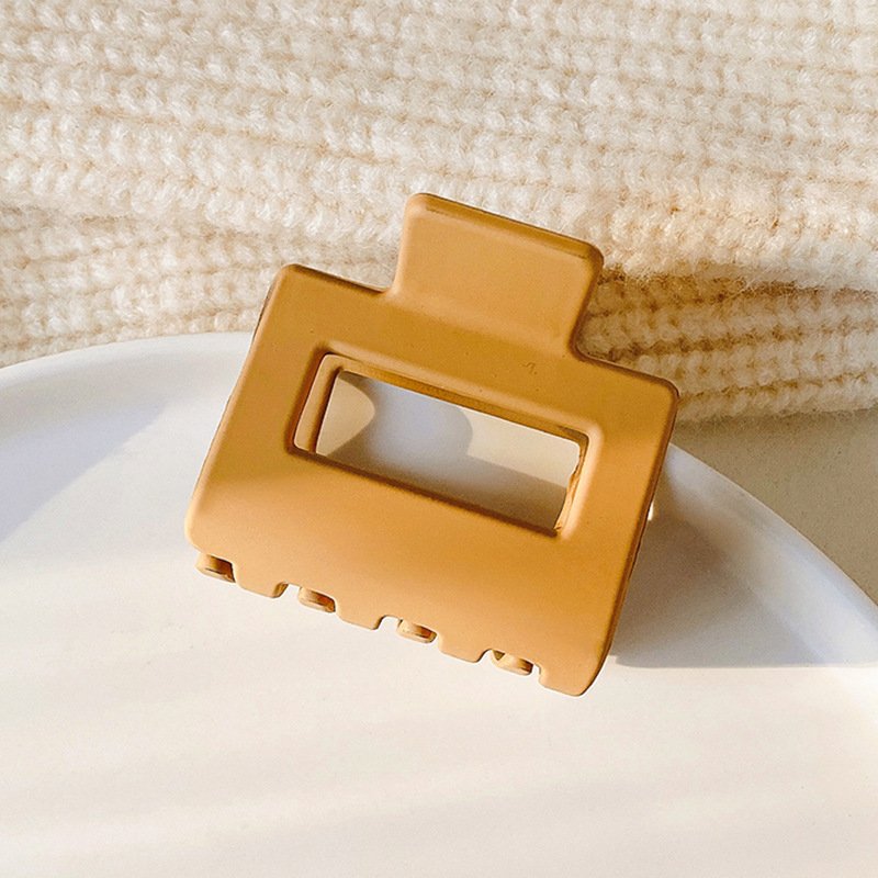 Small Glossy Hair Clip