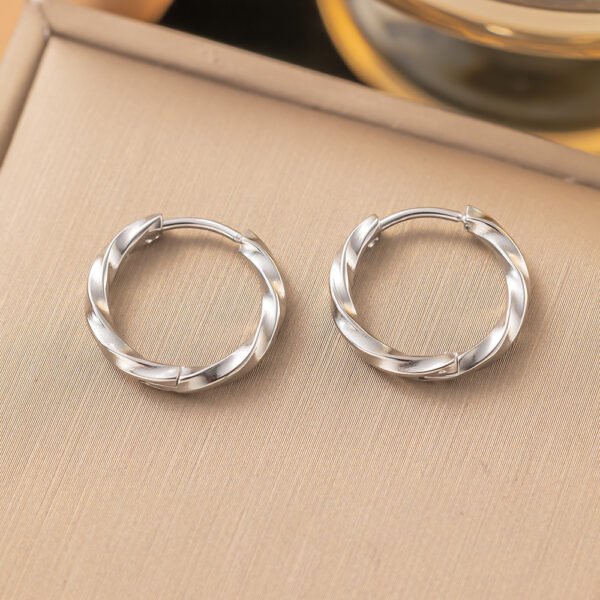 Small Twisted Circles Stainless Steel Earrings